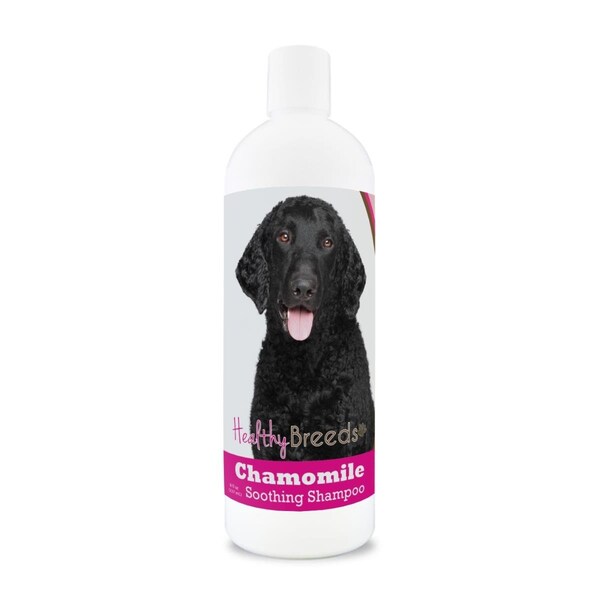 Healthy Breeds 8 oz Curly-Coated Retriever Chamomile Soothing Dog Shampoo 840235199182 - main